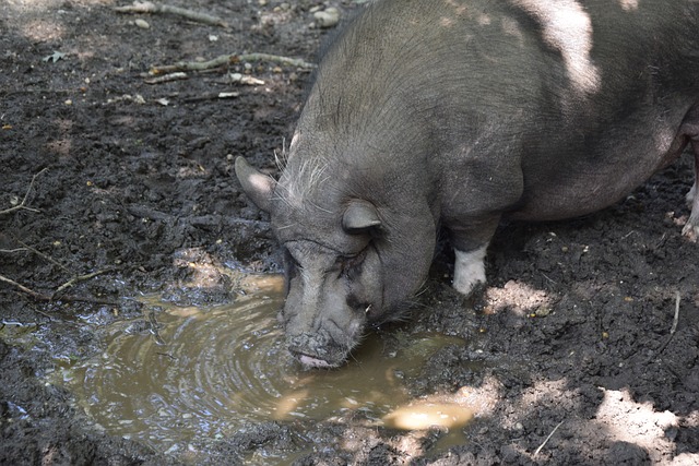 场平均值以 场平均值以